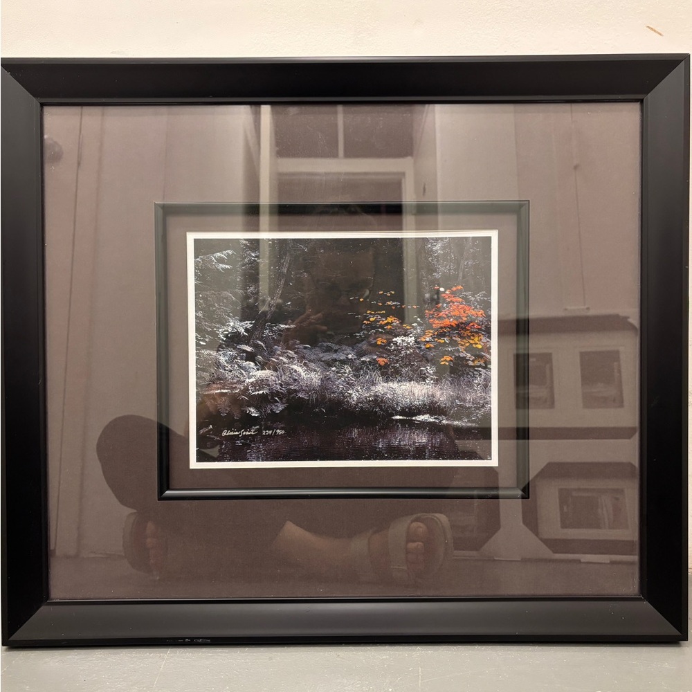 Original Photograph “Woodland Secrets I” #234/950 Signed 22.5x27” w/9x12” Image
